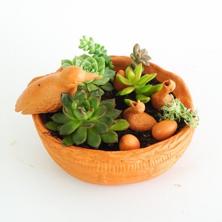 Ổ Rơm Đất Nung Trồng Cây