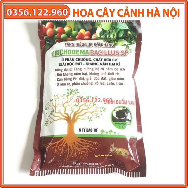 Men ủ vi sinh trichoderma gói 1kg