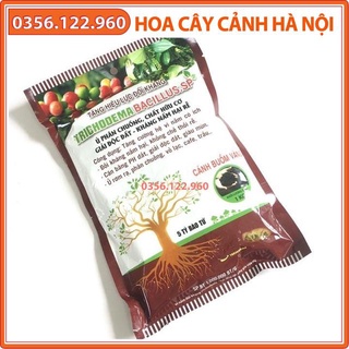 Men ủ vi sinh trichoderma gói 1kg