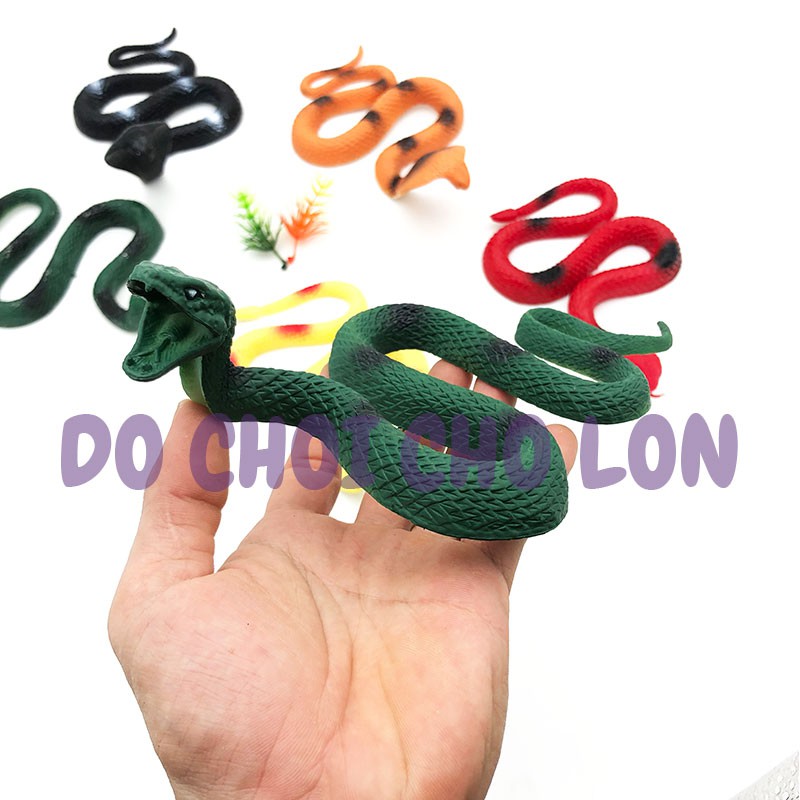 Đồ chơi mô hình 6 CON rắn hổ mang World Reptiles 666M33