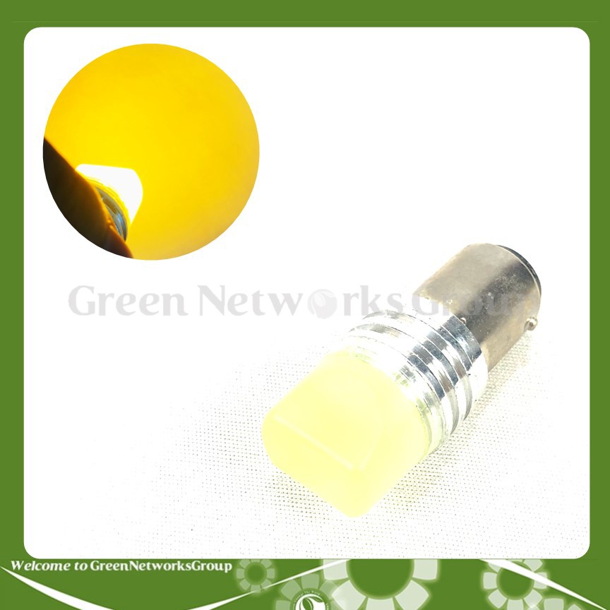 Đèn hậu LED chớp nháy lắp cho mọi loại xe Greennetworks ( Loại đầu đục )