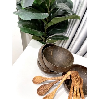 COMBO Chén muỗng Gáo Dừa 12-15cm