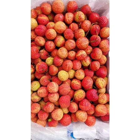 HCM Free Ship - 3kg Vải Thiều Bắc Giang VIP 1