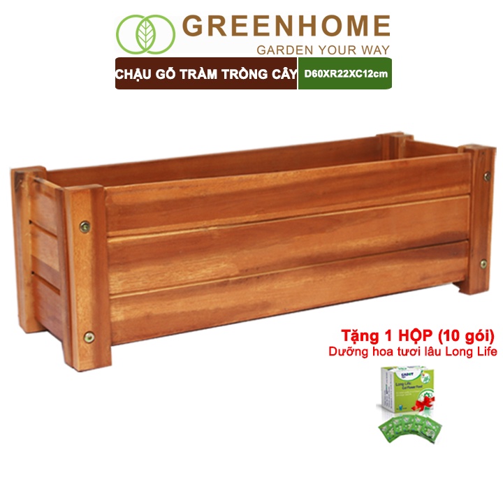Chậu gỗ trồng cây, chữ nhật, D60xR22xC20cm, gỗ Tràm chịu nước, tặng 1 hộp dưỡng hoa tươi lâu |Greenhome