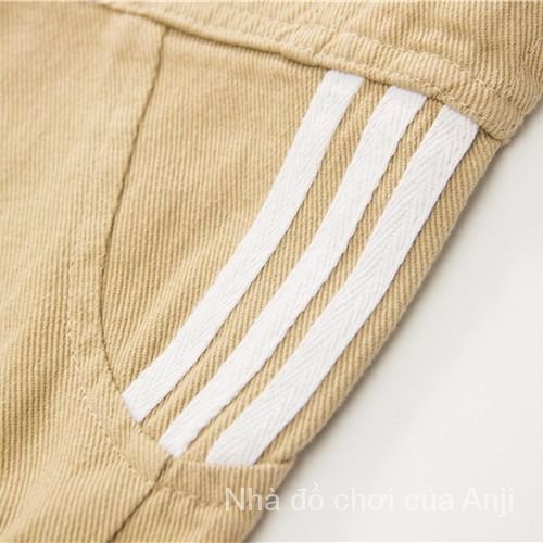 Boys Pants ， Autumn And Winter New Plus Thick Loose Korean Casual Harlan Instrument ， Long Pants