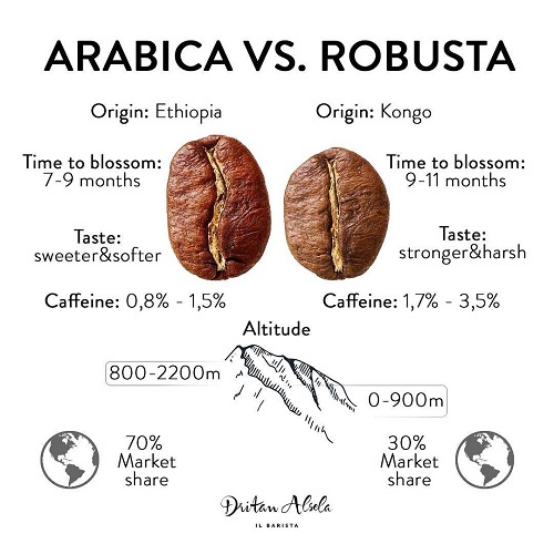 [Trung Nguyên E-coffee Chính Hãng] Cà phê Drip - Arabica Robusta hạt số 2 - Túi 3kg Có Hỗ Trợ Xay