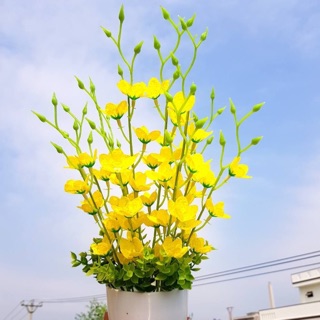 Bộ nguyên liệu Hoa Thuỷ Tiên
