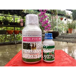 Cặp đôi trị bệnh chảy nhựa xì mủ đào, cam, bưởi, sầu riêng