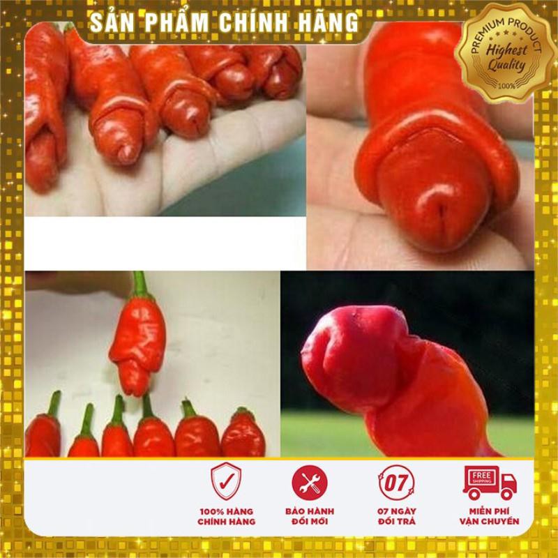 5 Hạt giống Ớt Cu tí (tặng gói Kích nẩy mầm và Hướng dẫn) VIETSEED