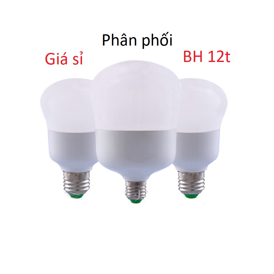 Bộ 4 bóng đèn led 20W - Siêu Sáng trắng- Trắng | BigBuy360 - bigbuy360.vn