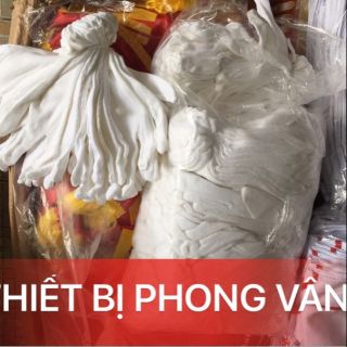 Găng tay nghi thức đội