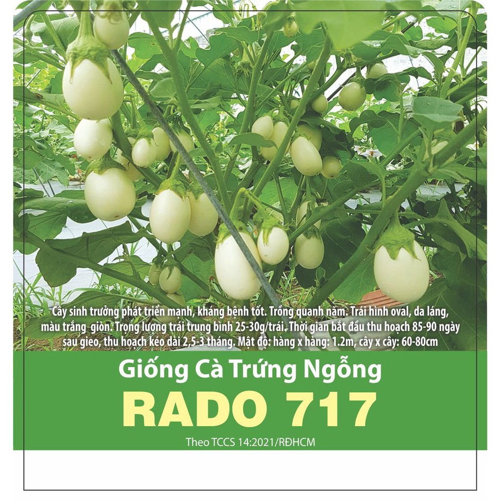 Hạt Giống Cà Trứng Ngỗng Rado 717 gói 0.5gr Trái hình oval, da láng, màu trắng ăn giòn ngon