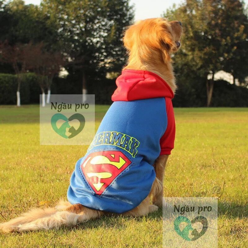 Áo cho chó size lớn thu đông chất nỉ ấm, Quần áo thú cưng chó GOLDEN HUSKY ALASKA giống to cân nặng từ 1kg đến 45kg APET