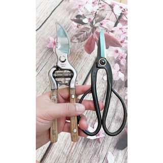 Combo kéo cắt kéo tỉa hàng nhật bãi
