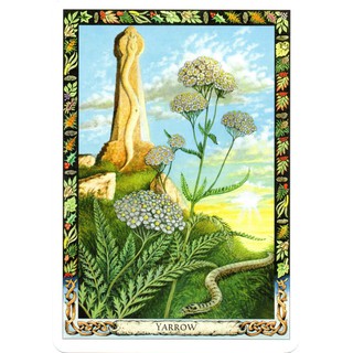Bộ bài The Druid Plant Oracle
