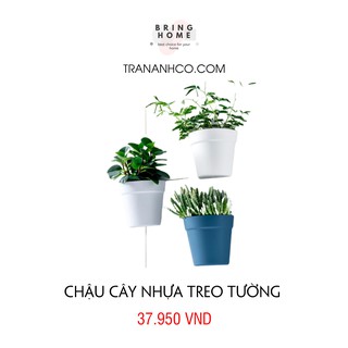 Chậu cây nhựa treo tường
