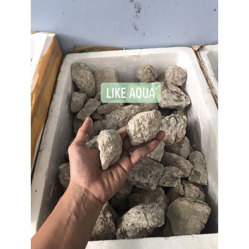 Đá da voi thủy sinh (20k/1kg)