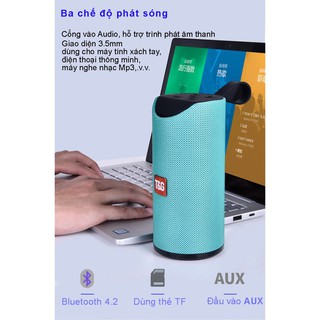 Loa Bluetooth TG-113