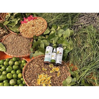 COMBO GỘI XẢ 500ML
