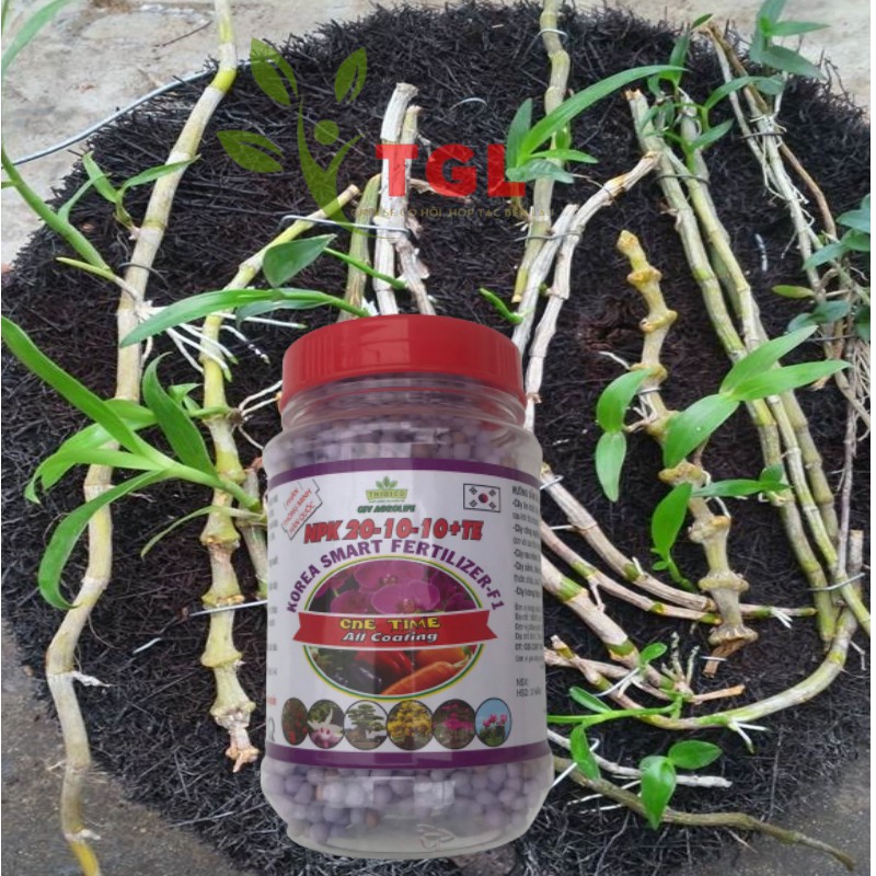 Phân tan chậm, phân thông minh Hàn Quốc, NPK 20-10-10+TE CSV- AGROLIFE 150gr, thích hợp với hoa lan, cây kiểng, bon sai