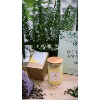 Nến Candle Cup
