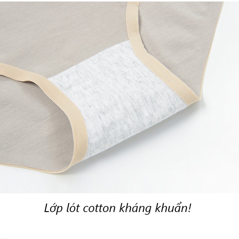 Quần lót nữ, quần lót cotton không viền kháng khuẩn Q/C079