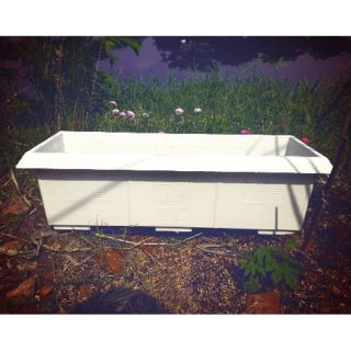 Chậu hàng rào mái ngói nhựa trắng 62x23x19cm