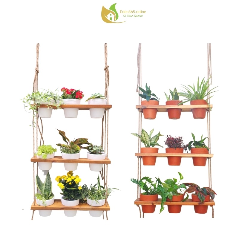 Kệ gỗ treo 3 tầng 9 chậu gốm, chậu cây cảnh treo tường trang trí, decor ban công, sân vườn Eden