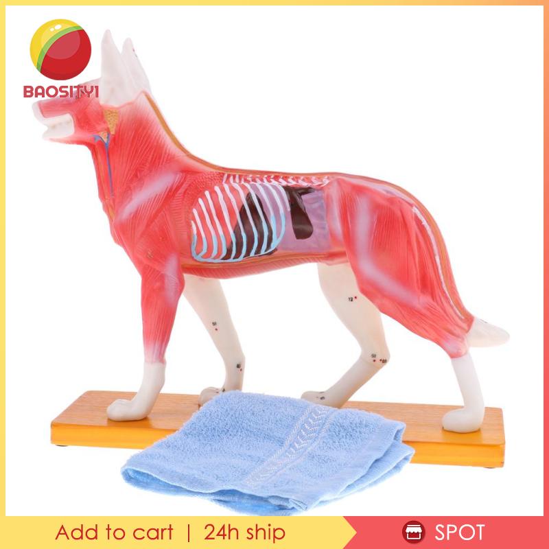 Bộ Dụng Cụ Học Tập Cho Cún Cưng [Baosity] [Baosity]