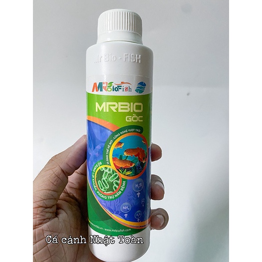 MR BIO GỐC MEN VI SINH THẾ HỆ MỚI CHO HỒ CÁ MRBIO FISH 200ML