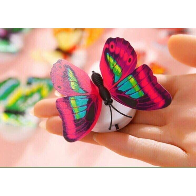 Combo 3 đèn LED hình con bướm xinh xắn dán tường