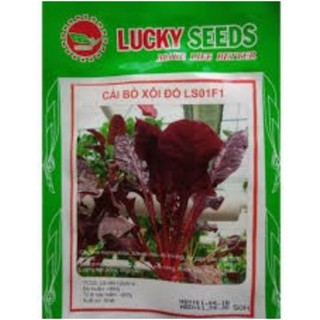 HẠT GIỐNG RAU CẢI BÓ XÔI ĐỎ GÓI 50 HẠT