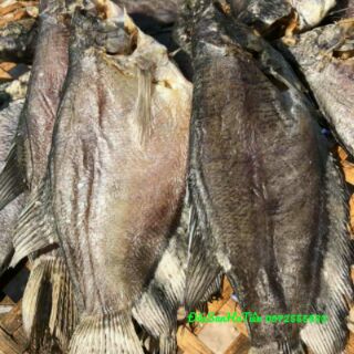 HCM_500 Khô cá sặc bổi size 10 _12 con/kg