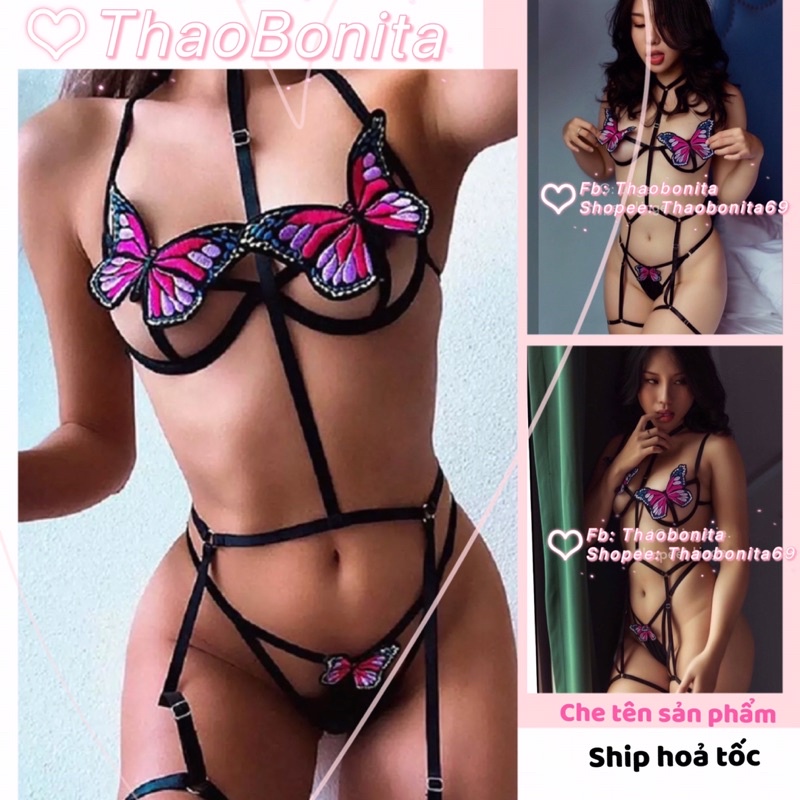 Set bướm xinh sexy 🚀GIAO HOẢ TỐC HCM🚀 | BigBuy360 - bigbuy360.vn
