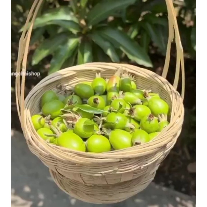 Táo mèo bao tử, táo mèo Yên Bái túi 1kg