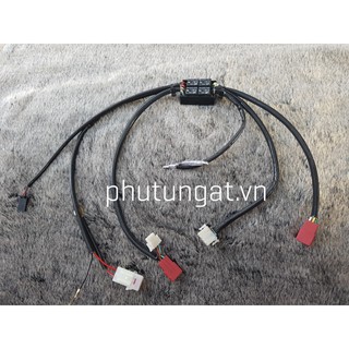 Bộ tích hợp Hazard passing 2 trong 1 cho trợ sáng