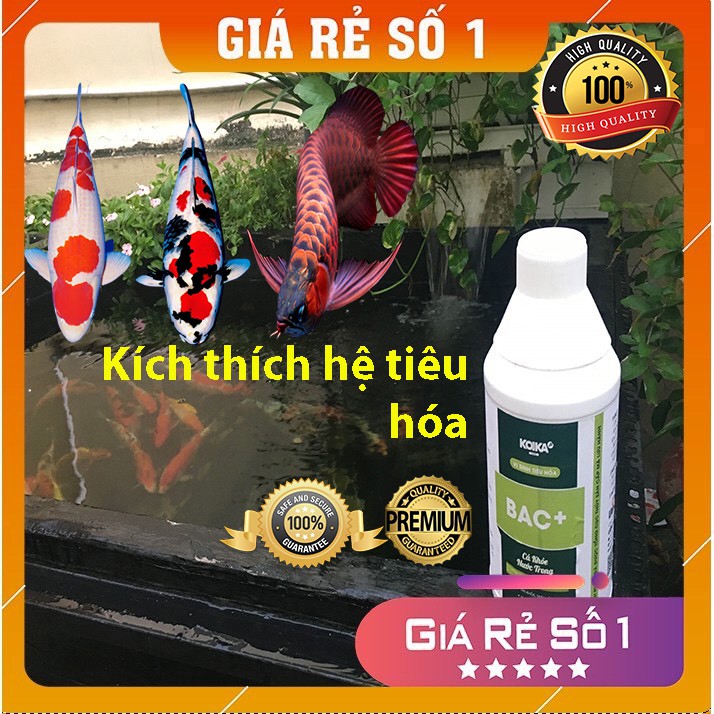 [Bản mới nhất]Vi Sinh tiêu hóa BAC+(Chai 1000ml) -Vi Sinh tiêu hoá dùng cho cá cảnh