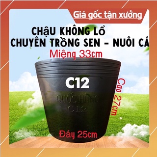 Chậu nhựa  nuôi cá C12- trồng Sen