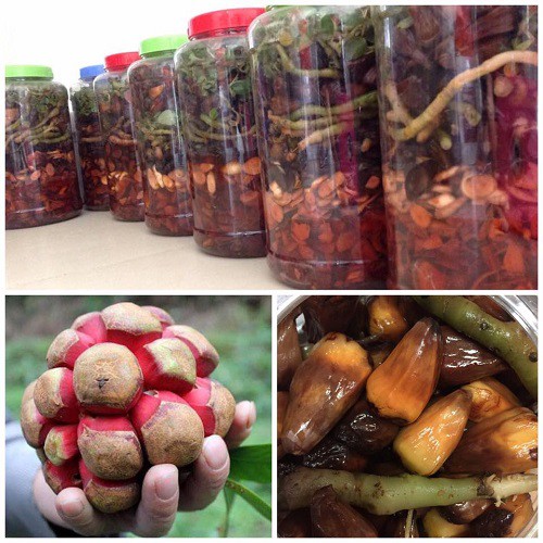 Thang tứn khửn 1.6kg (Vùng Tây Bắc)