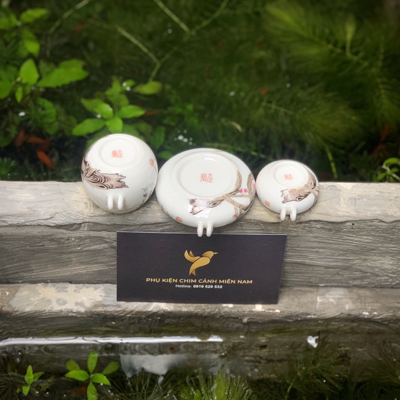 Cóng chim vẽ tay HOA - Cửu Chính Đường