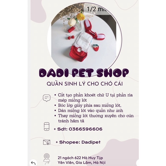 Quần sinh lý cho chó cái Dadi pet (size từ xs tới 4xl)