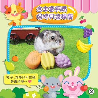 Combo 3 đá mài răng vitamin Alice cho hamster- Vị trái cây và hoa