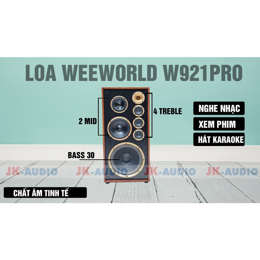 Loa Weeworld W921 Pro