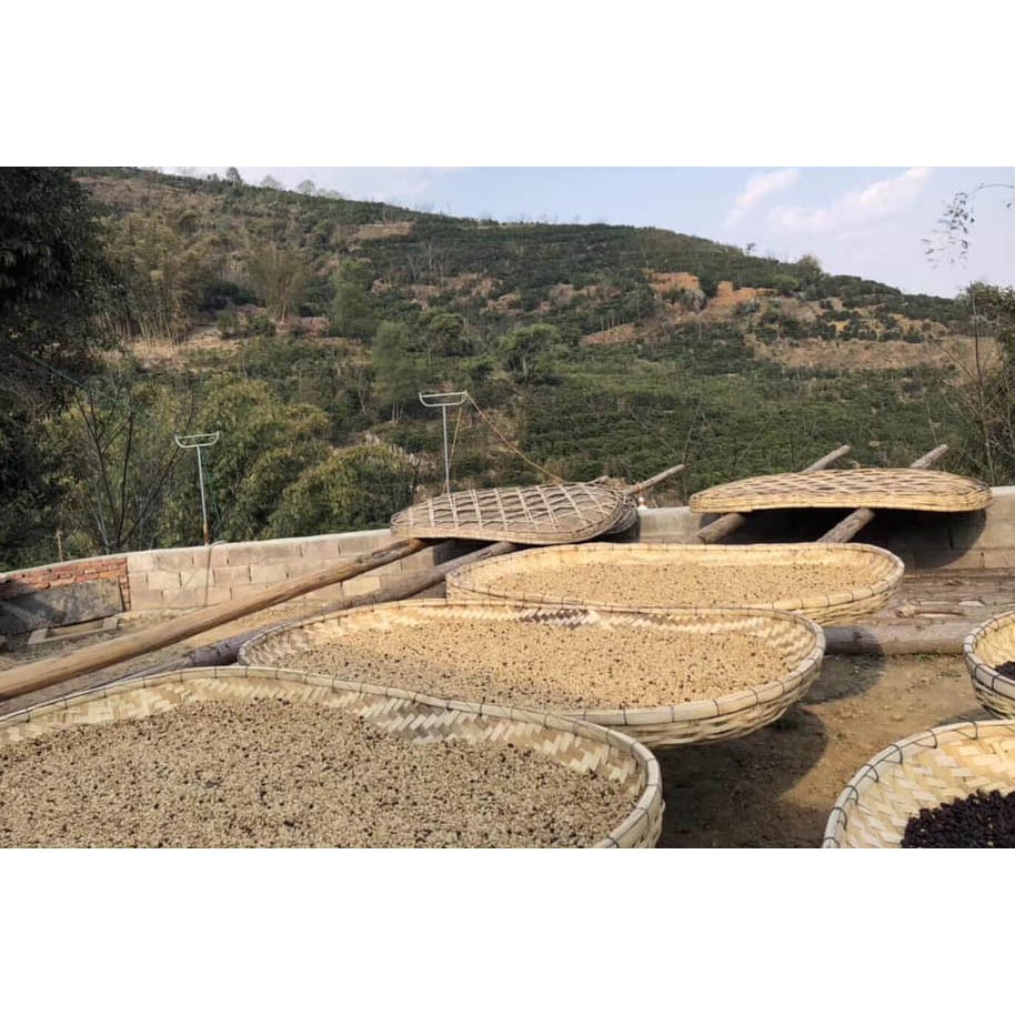 500G ROBUSTA ĐẮK LẮK GU CAFE ĐÁ