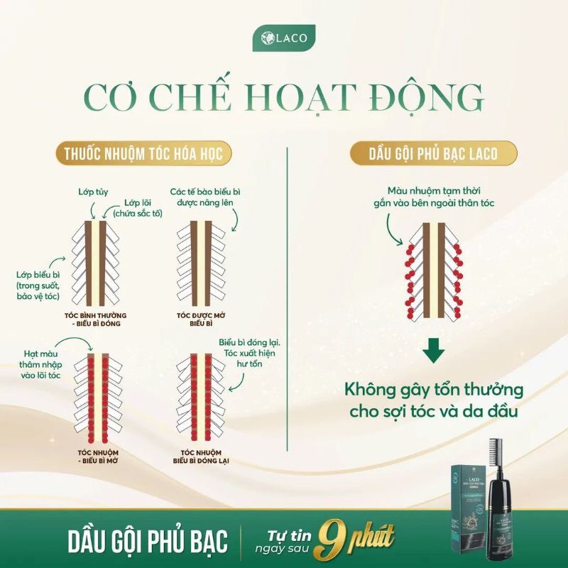 [Freeship+Qùa] Dầu Gội Phủ Bạc LACO, Tóc Đen Xanh Tự Nhiên, Có Lược Chải Tiện Dụng, An Toàn