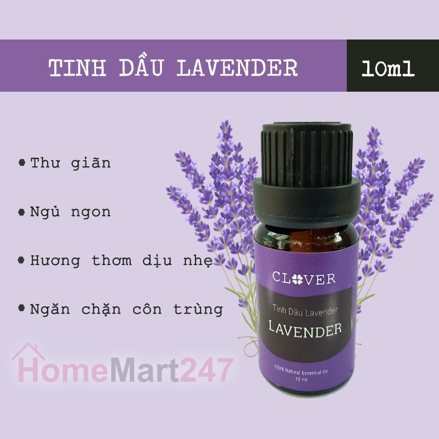 TINH DẦU THIÊN NHIÊN – LAVENDER OẢI HƯƠNG 10ML