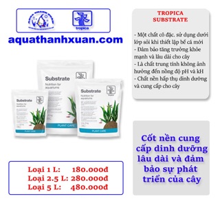 CỐT NỀN TROPICA
