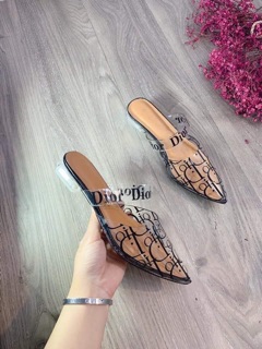 Giày Sục Trong DO
