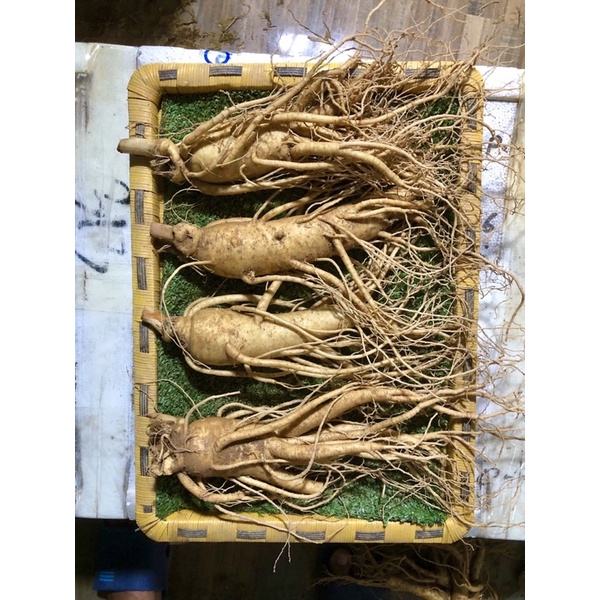 Nhân sâm tươi Hàn Quốc loại 4 củ 1 kg