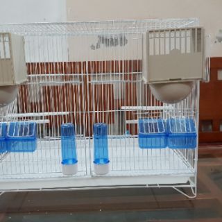 Lồng sinh sản cho yến hót